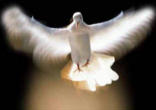 Image of 
