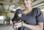 Image of Hope with one of her rescuers. 