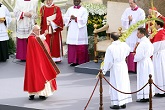 Image of Pope Francis blessing the Palm branches and the faithful 