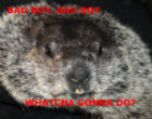 Image of Whatcha gonna do when they come for you?