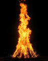 Image of Abortion clinic owner suggests burning aborted babies [not pictured].
