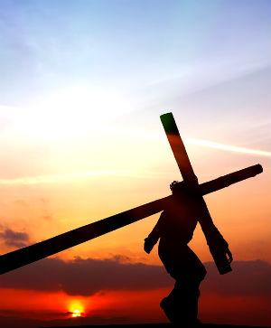 This week is Holy not only because of what we remember but because of what it can accomplish within each one of us as we give our voluntary Yes to its' invitation.