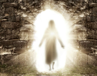 How will you respond to the resurrection?