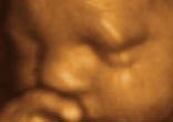 Image of The Oklahoma Legislature, the latest venue in the continuing struggle to protect human life.