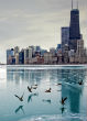 Image of Ice covered shallow waters expose long lost artifacts.