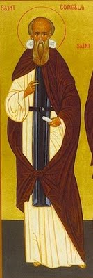 Image of St. Comgall